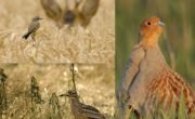 « Natura 2000 » un réseau qui mérite d’être connu !