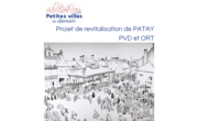 PROJET DE REVITALISATION DE PATAY PVD ET ORT